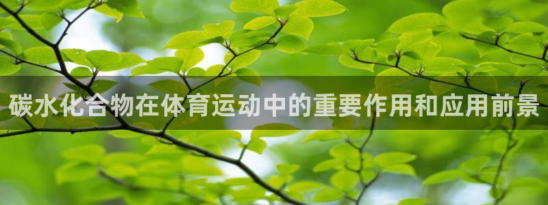 球速体育：碳水化合物在体育运动中的重要作用和应用前景