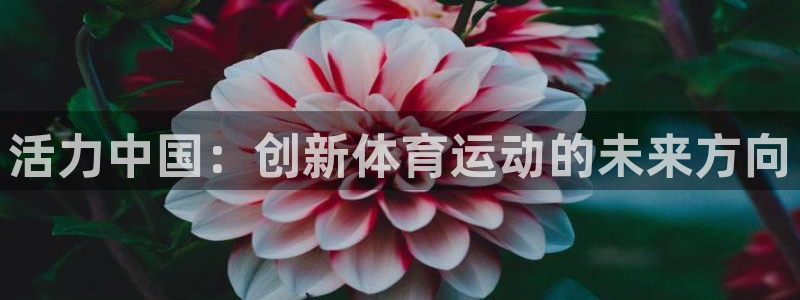 球速体育：活力中国：创新体育运动的未来方向