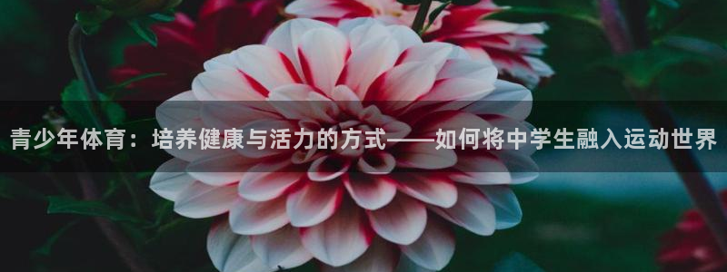 球速体育：青少年体育：培养健康与活力的方式——如何将中学生融入运动世界