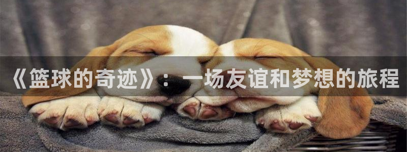 球速体育：《篮球的奇迹》：一场友谊和梦想的旅程