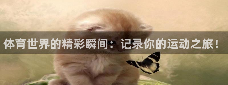 球速体育：体育世界的精彩瞬间：记录你的运动之旅！