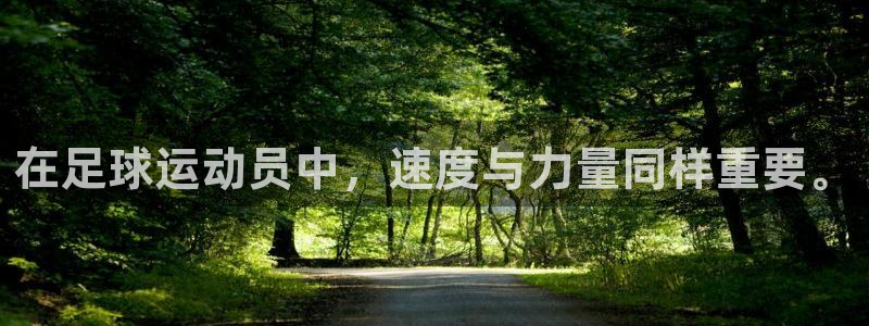 球速体育