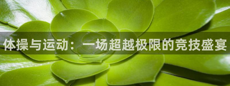 球速体育