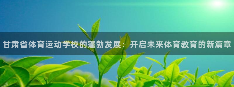 球速体育
