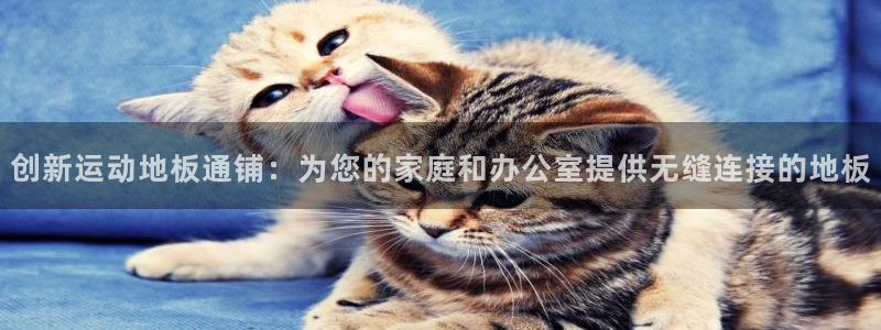 球速体育：创新运动地板通铺：为您的家庭和办公室提供无缝连接的地板