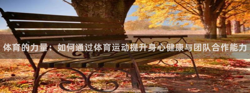 球速体育：体育的力量：如何通过体育运动提升身心健康与团队合作能力